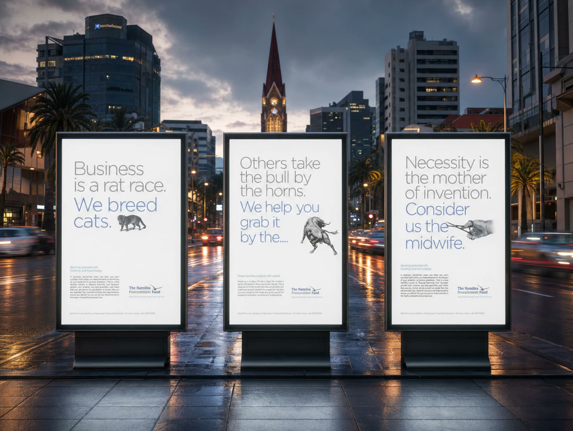 Namibia Procurement Fund print campaign